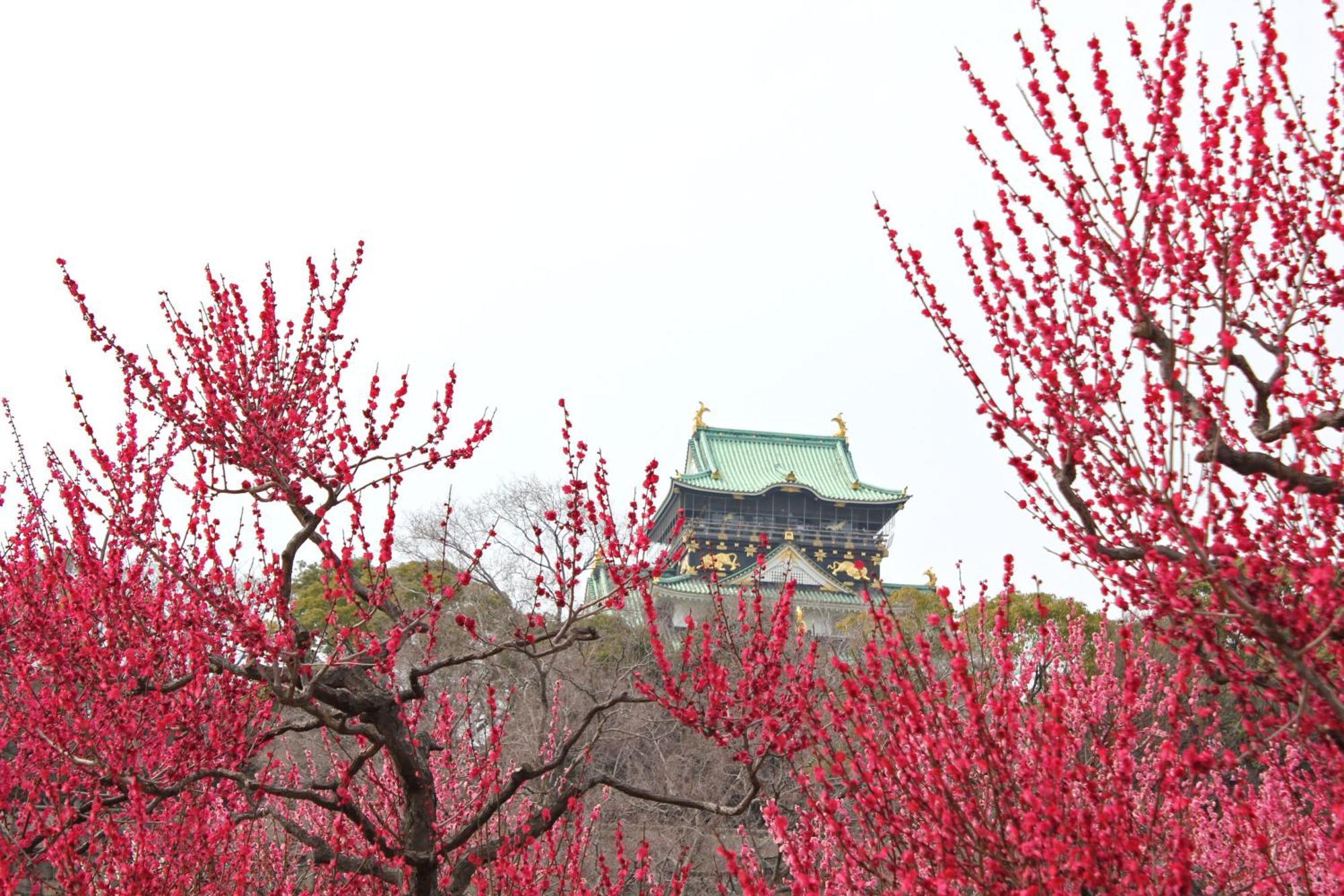 Hotel Wing International Select Higashi Osaka Esterno foto
